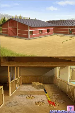 Image n° 3 - screenshots : Petz - Pony Club